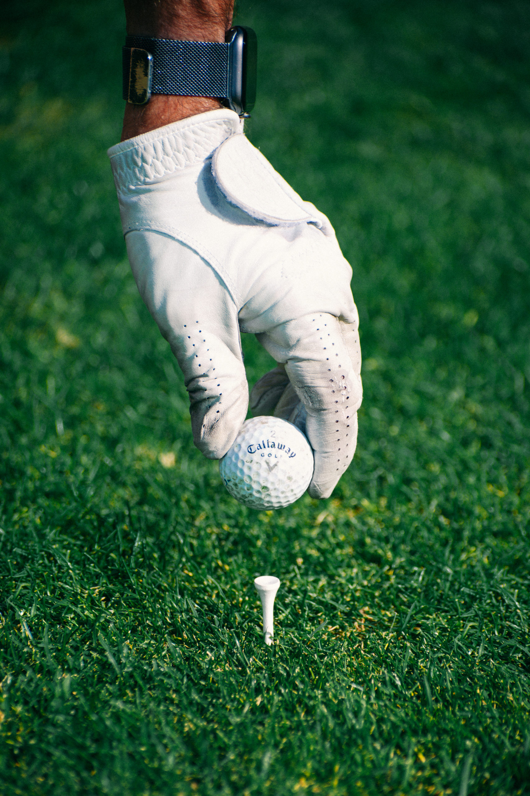 Golfeur avec gant Dahu